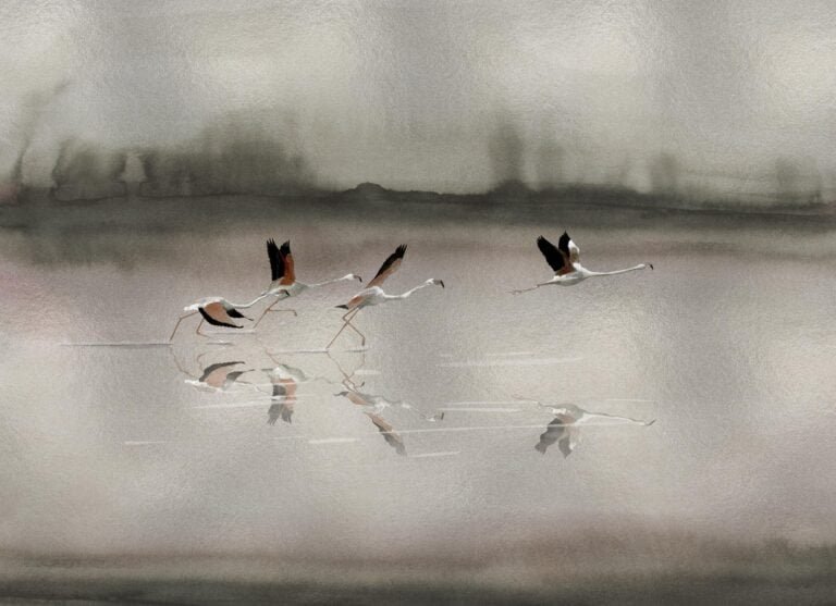Doñana Silver