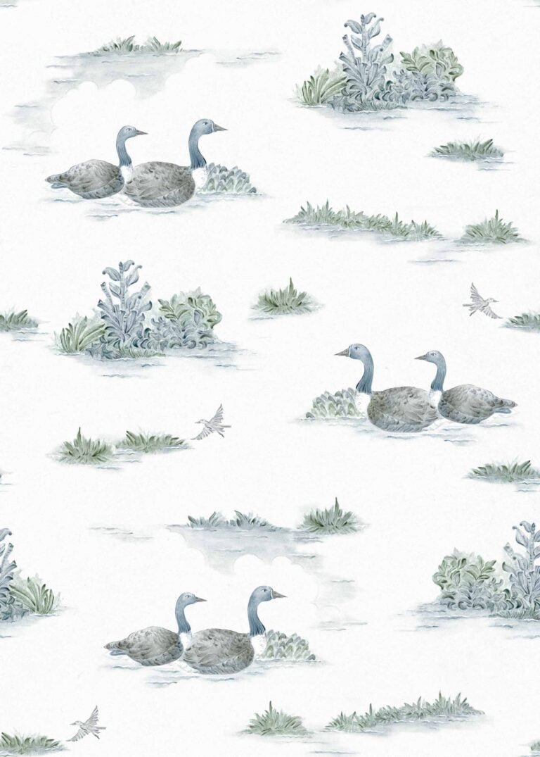 Mallard-Duck Aqua