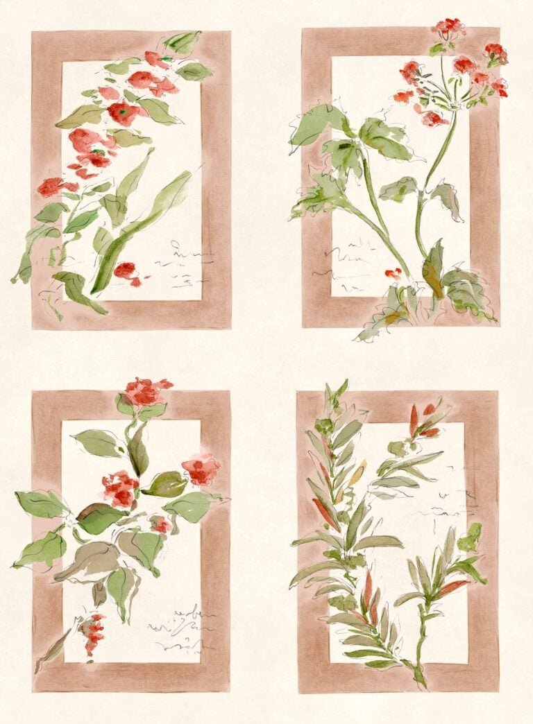 Sta Cruz Rosado